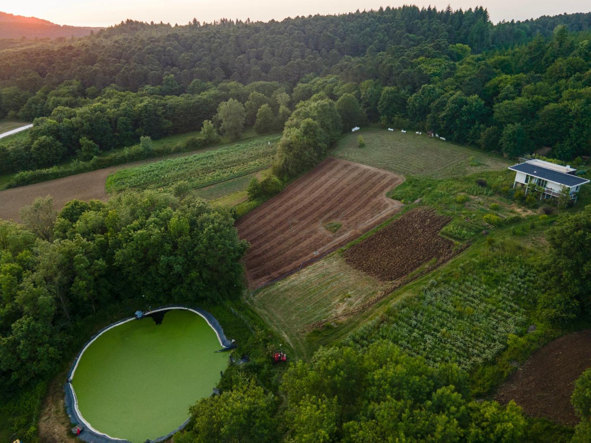 Narkoey Ecologic Hotel & Organic Farm Коджаэли Экстерьер фото