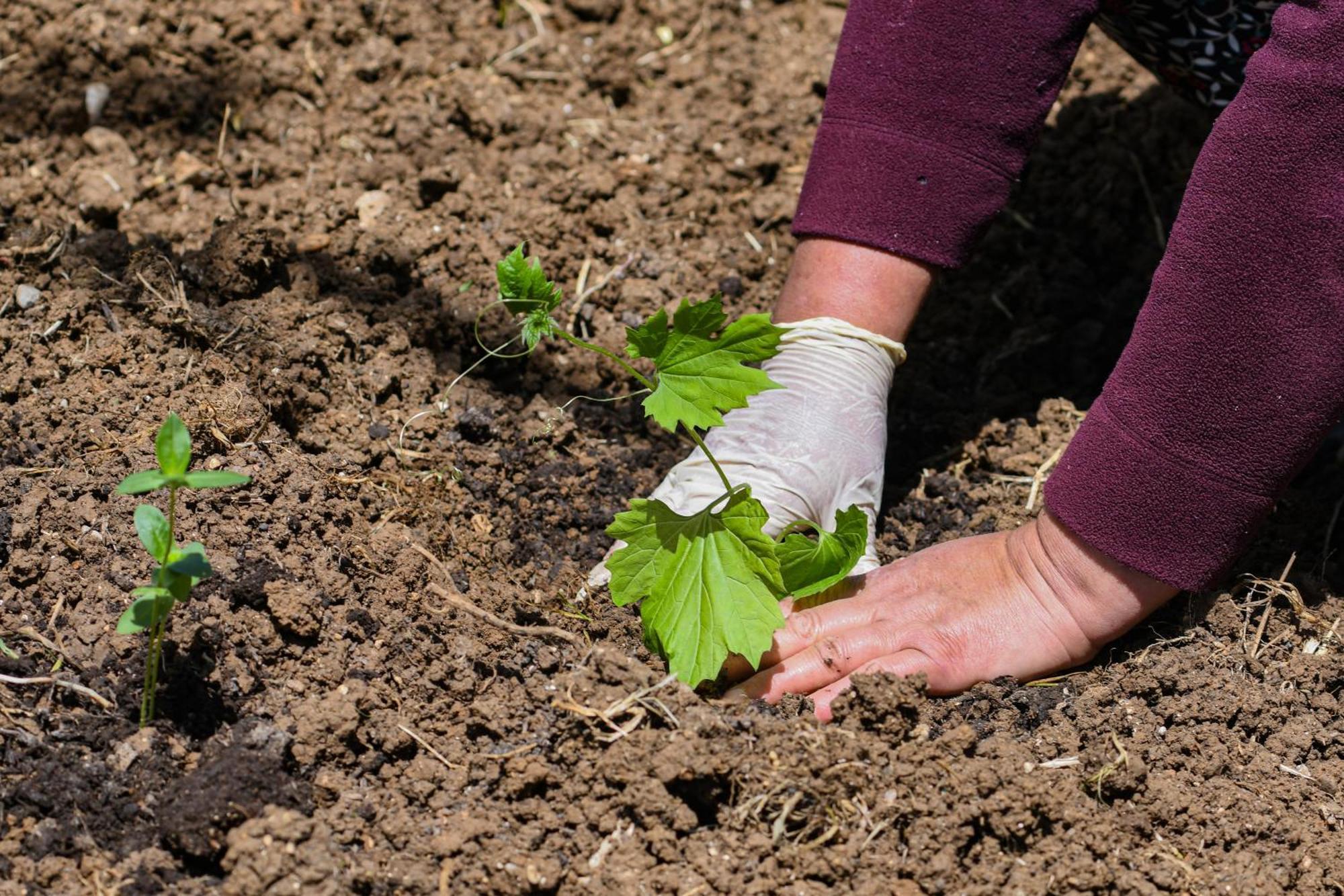 Narkoey Ecologic Hotel & Organic Farm Коджаэли Экстерьер фото